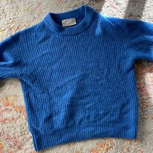 Everlane Alpaca Crew Sweater